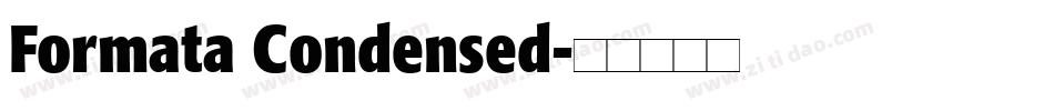 Formata Condensed字体转换